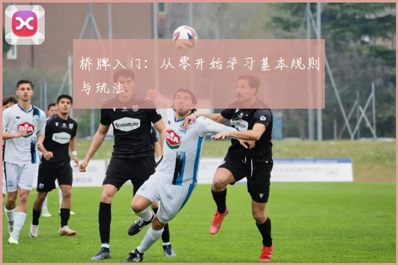 桥牌入门:从零开始学习基本规则与玩法