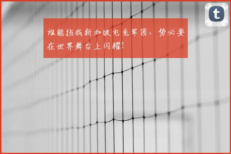谁能挡我新加坡电竞军团，势必要在世界舞台上闪耀！